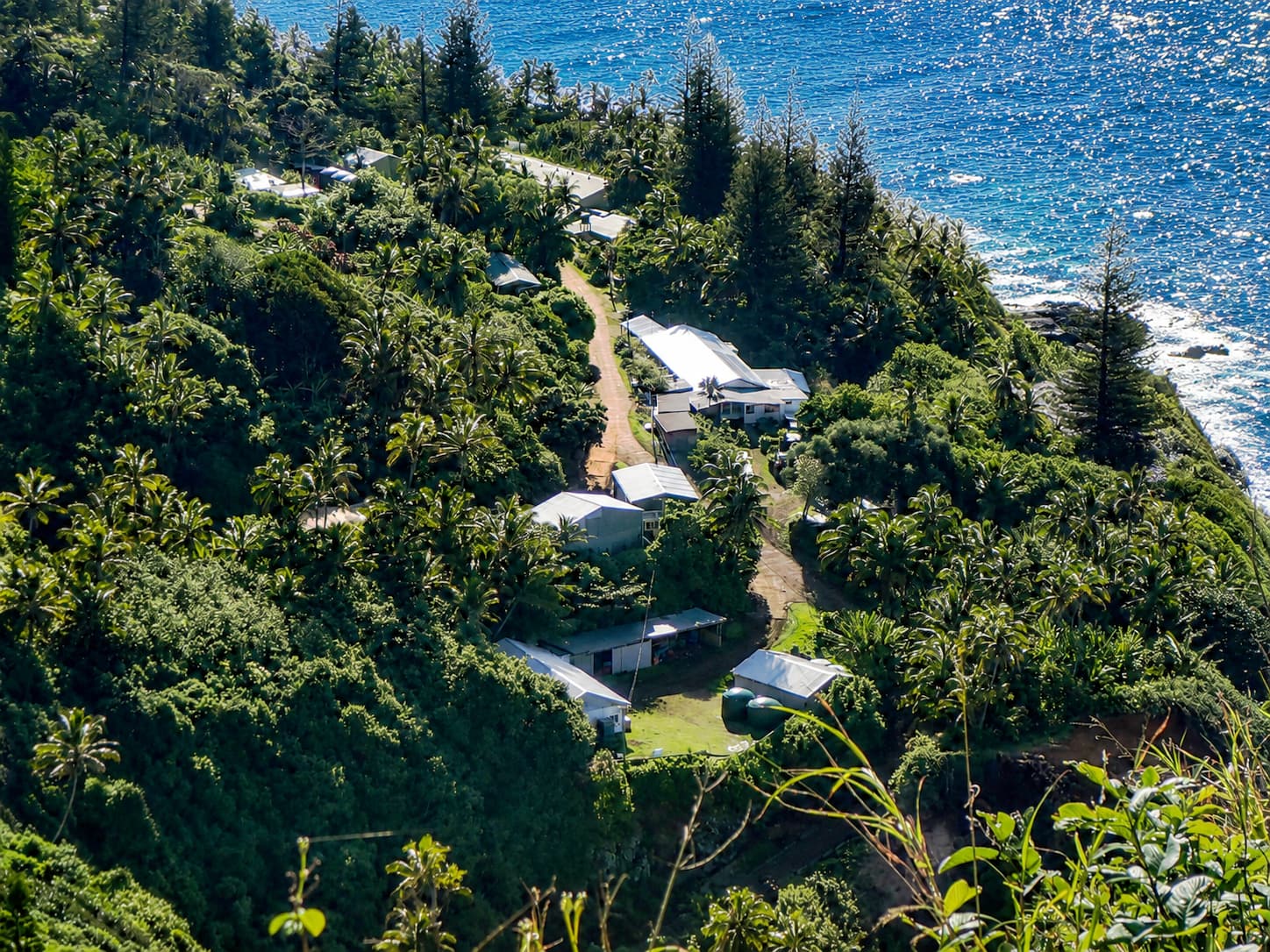 Adamstown from above: houses and tracks among the trees, the sea beyond