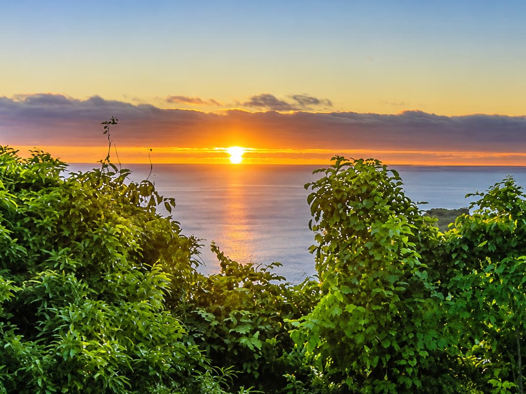 The sun setting over the sea beyond green island bush